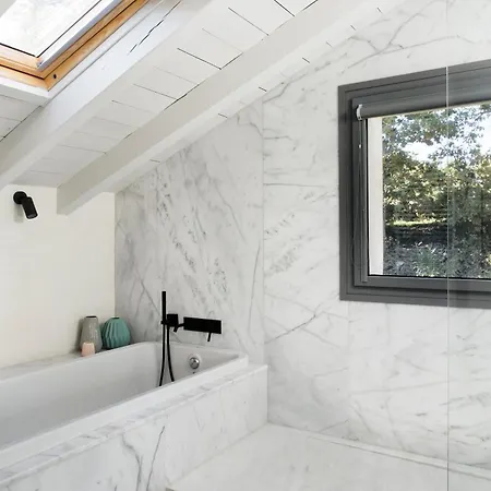 Libelula De El Vergel De Chilla Candeleda