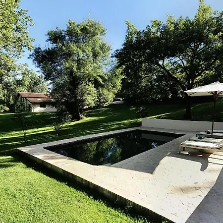 Libelula De El Vergel De Chilla Villa