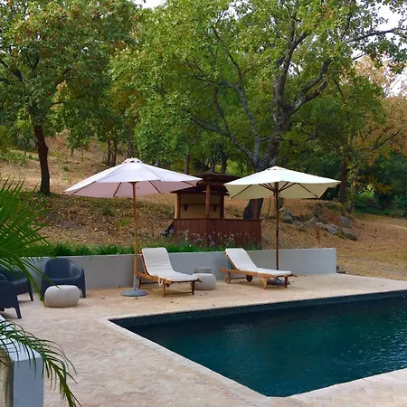 Libelula De El Vergel De Chilla Villa