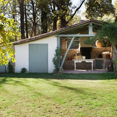 Libelula De El Vergel De Chilla * Candeleda