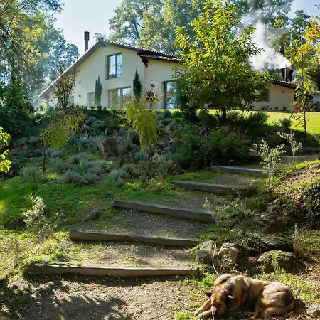 Libelula De El Vergel De Chilla