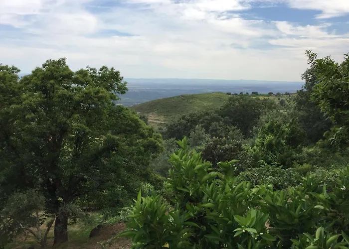 Libelula De El Vergel De Chilla 칸델레다