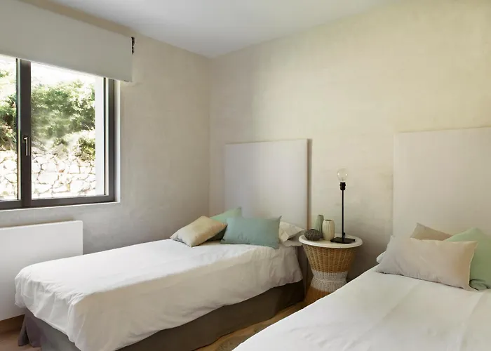 Libelula De El Vergel De Chilla * 칸델레다