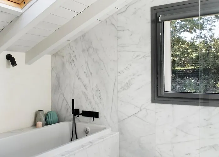 Libelula De El Vergel De Chilla 칸델레다