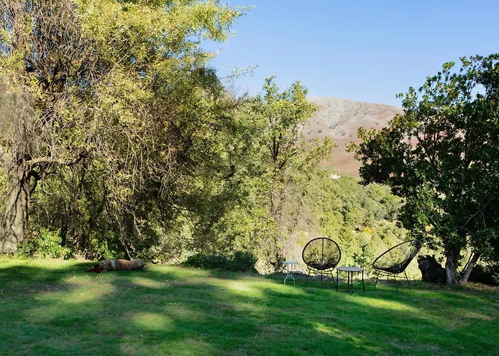 Libelula De El Vergel De Chilla 칸델레다