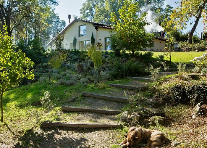 Libelula De El Vergel De Chilla